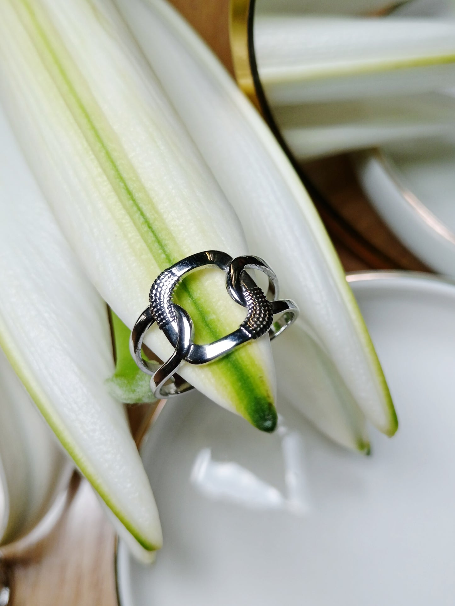 Bague en acier inoxydable argent réglable