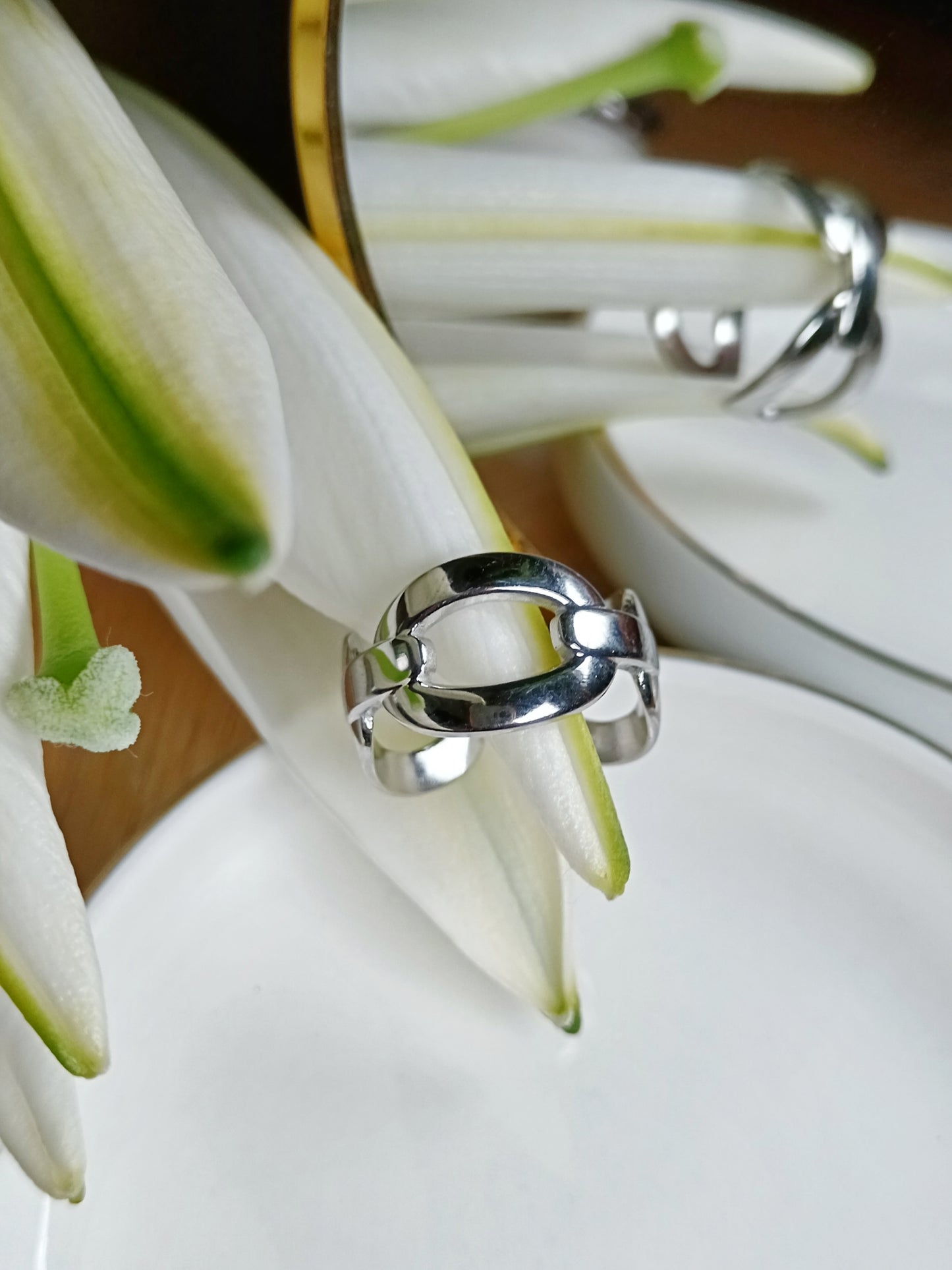 Bague en acier inoxydable argent réglable anneaux large