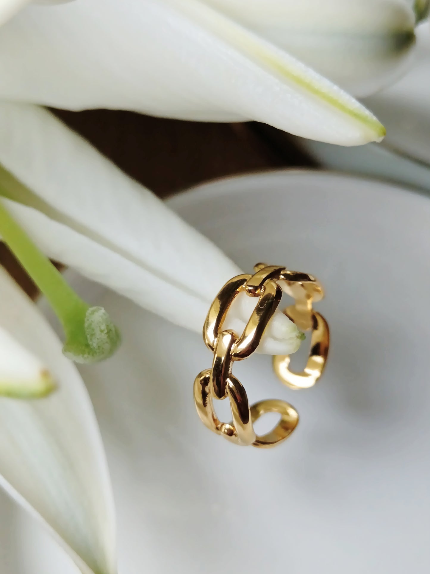 Bague anneaux acier inoxydable doré