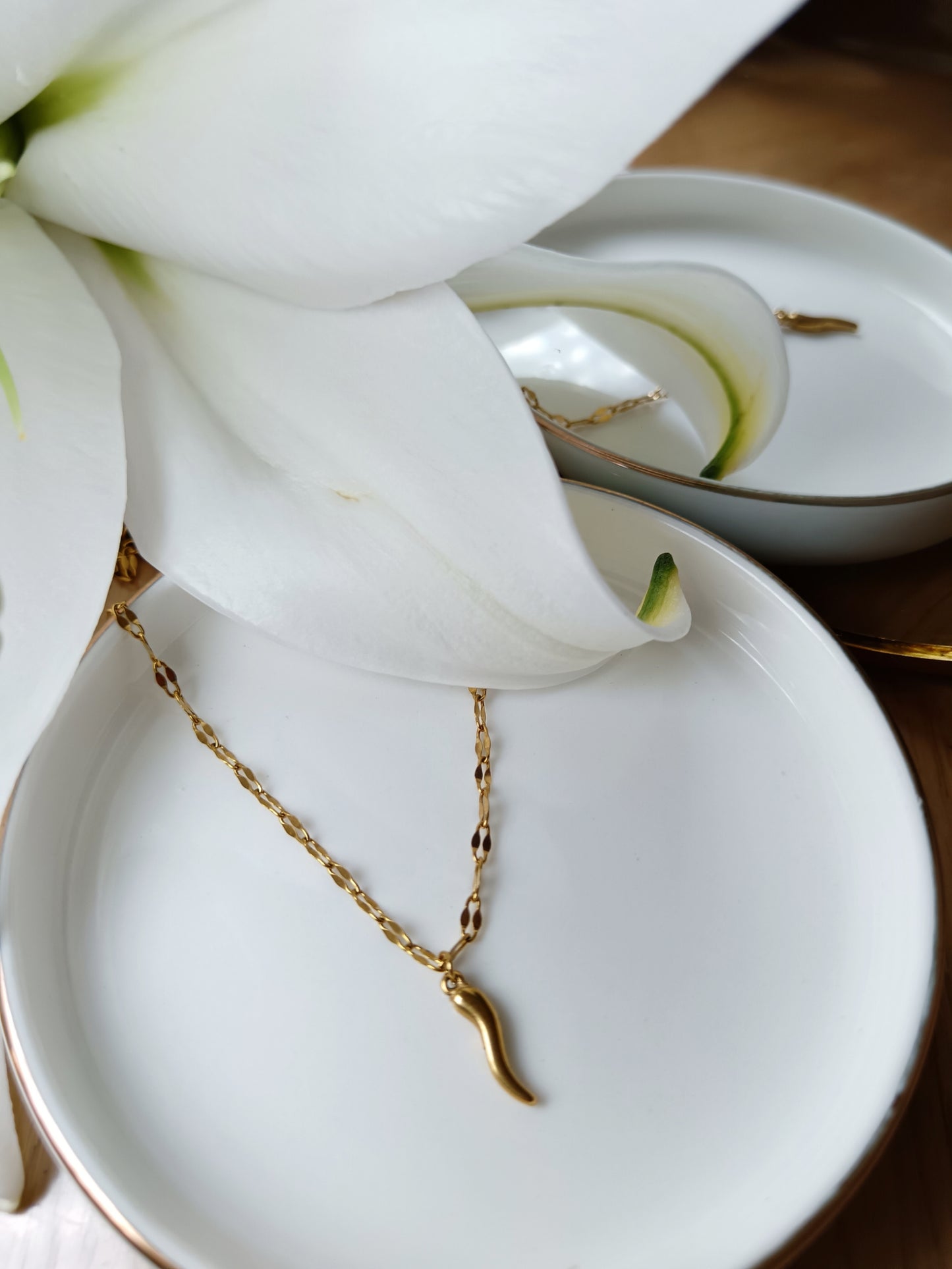 Collier cornicello piment porte bohneur en acier inoxydable doré 