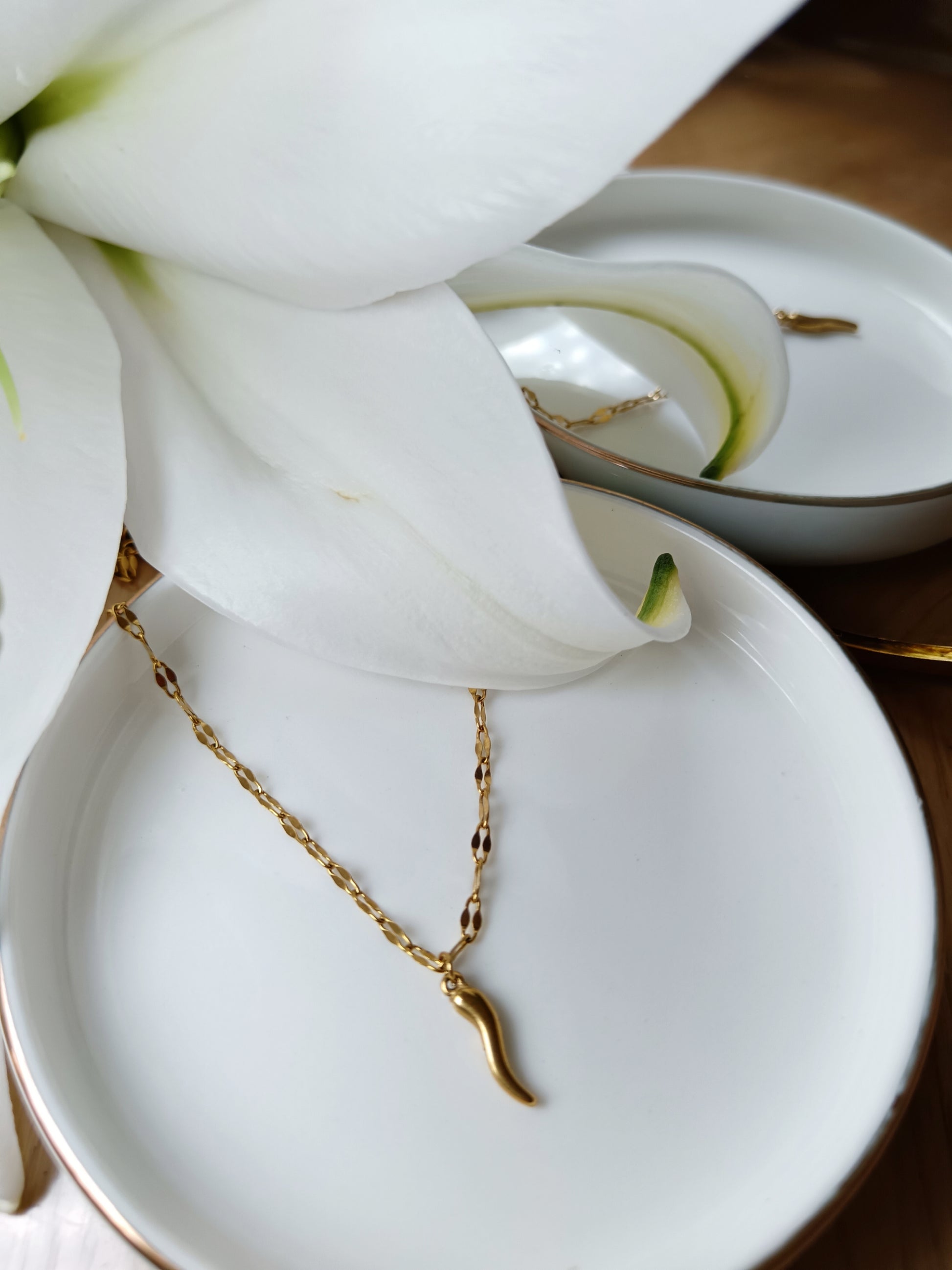 Collier cornicello piment porte bohneur en acier inoxydable doré 