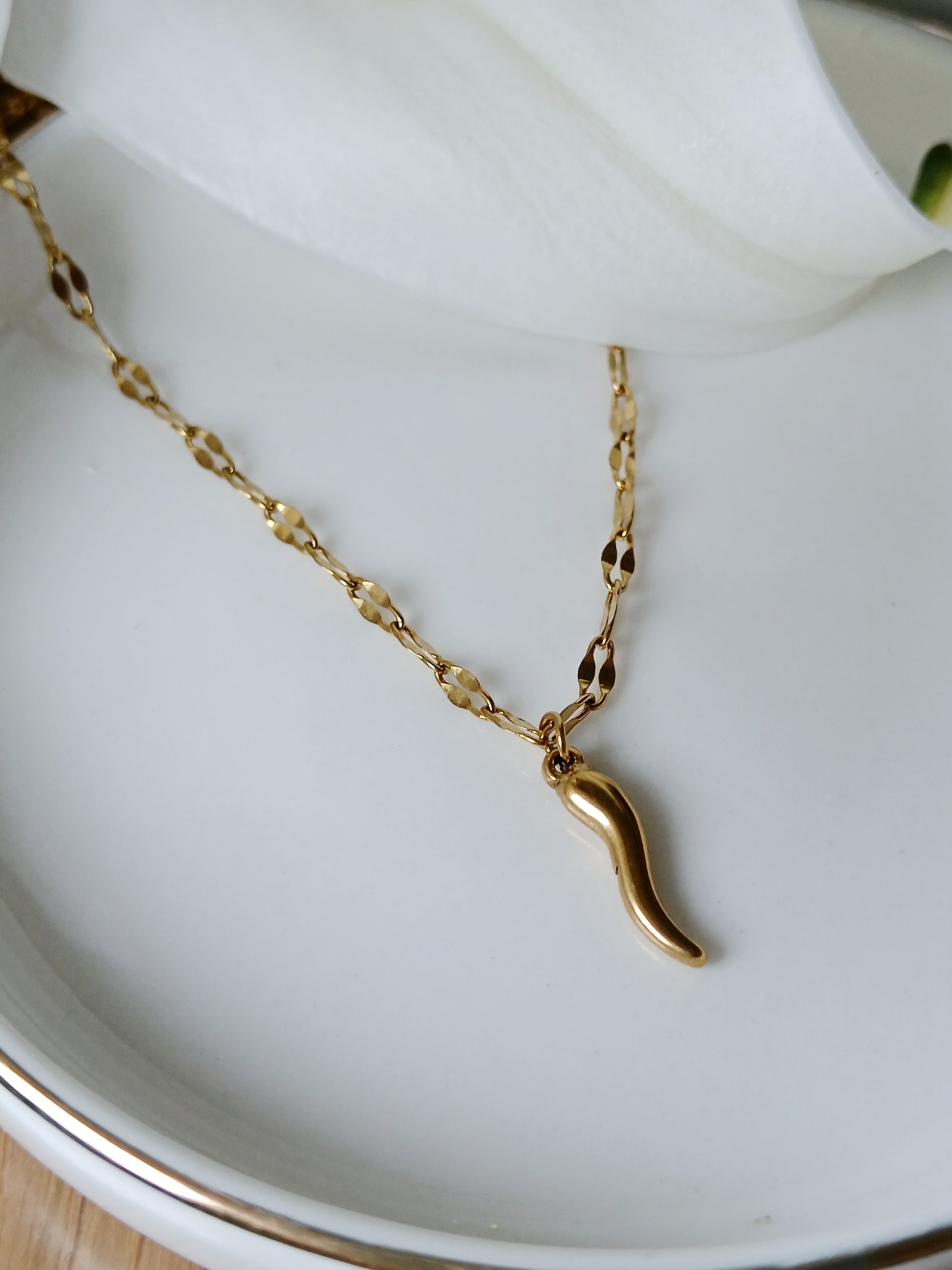 Collier cornicello piment porte bohneur en acier inoxydable doré 