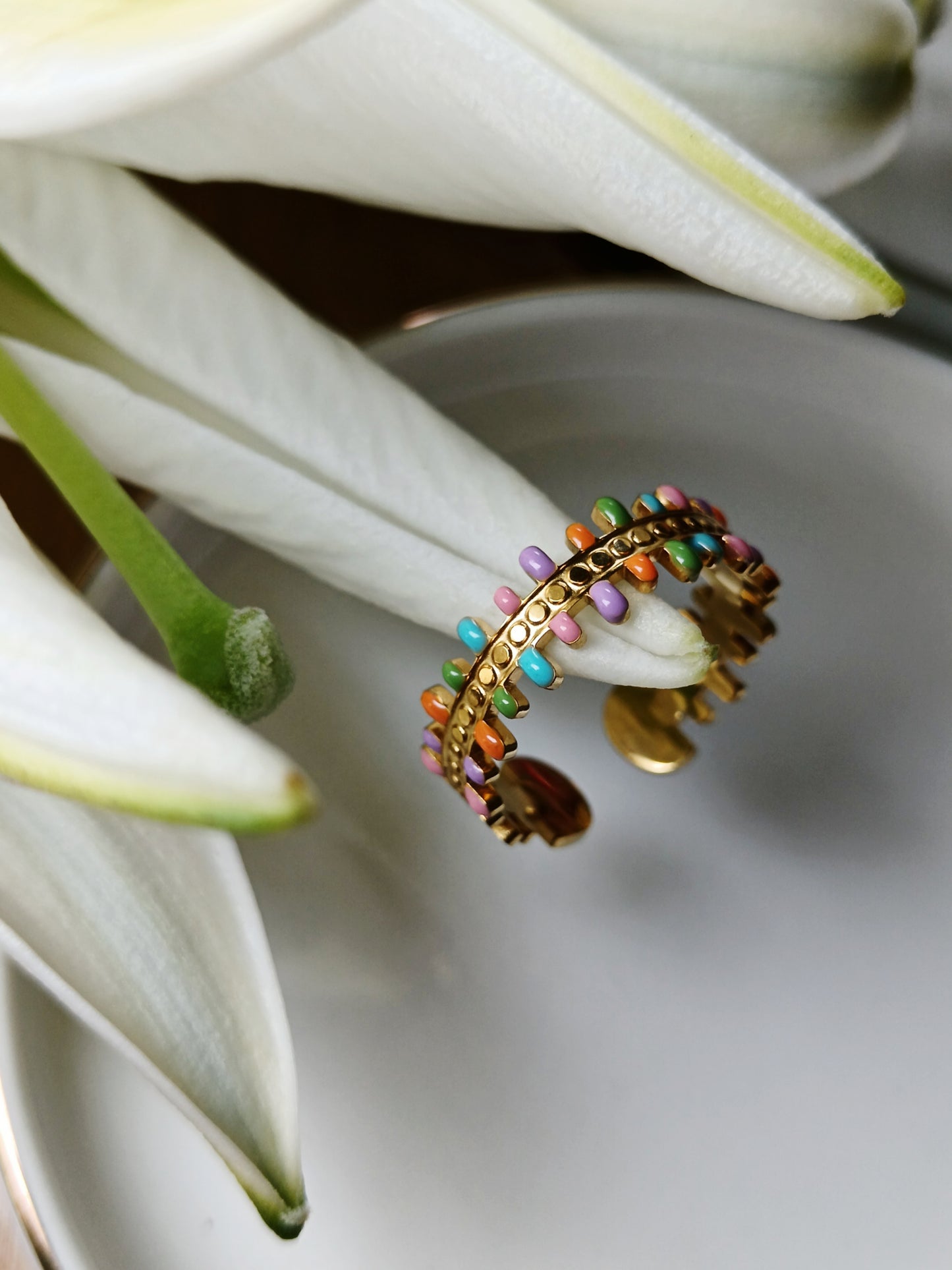 Bague acier inoxydable émaillée