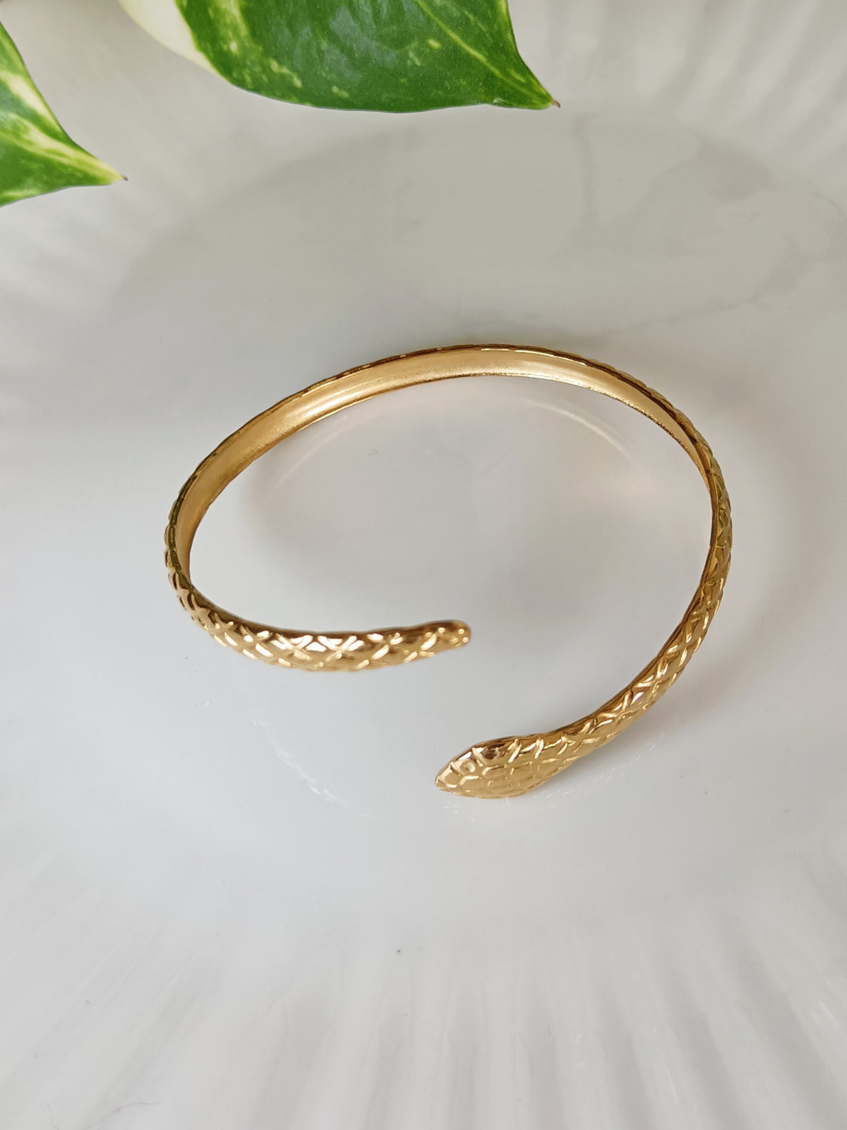 Jonc serpent