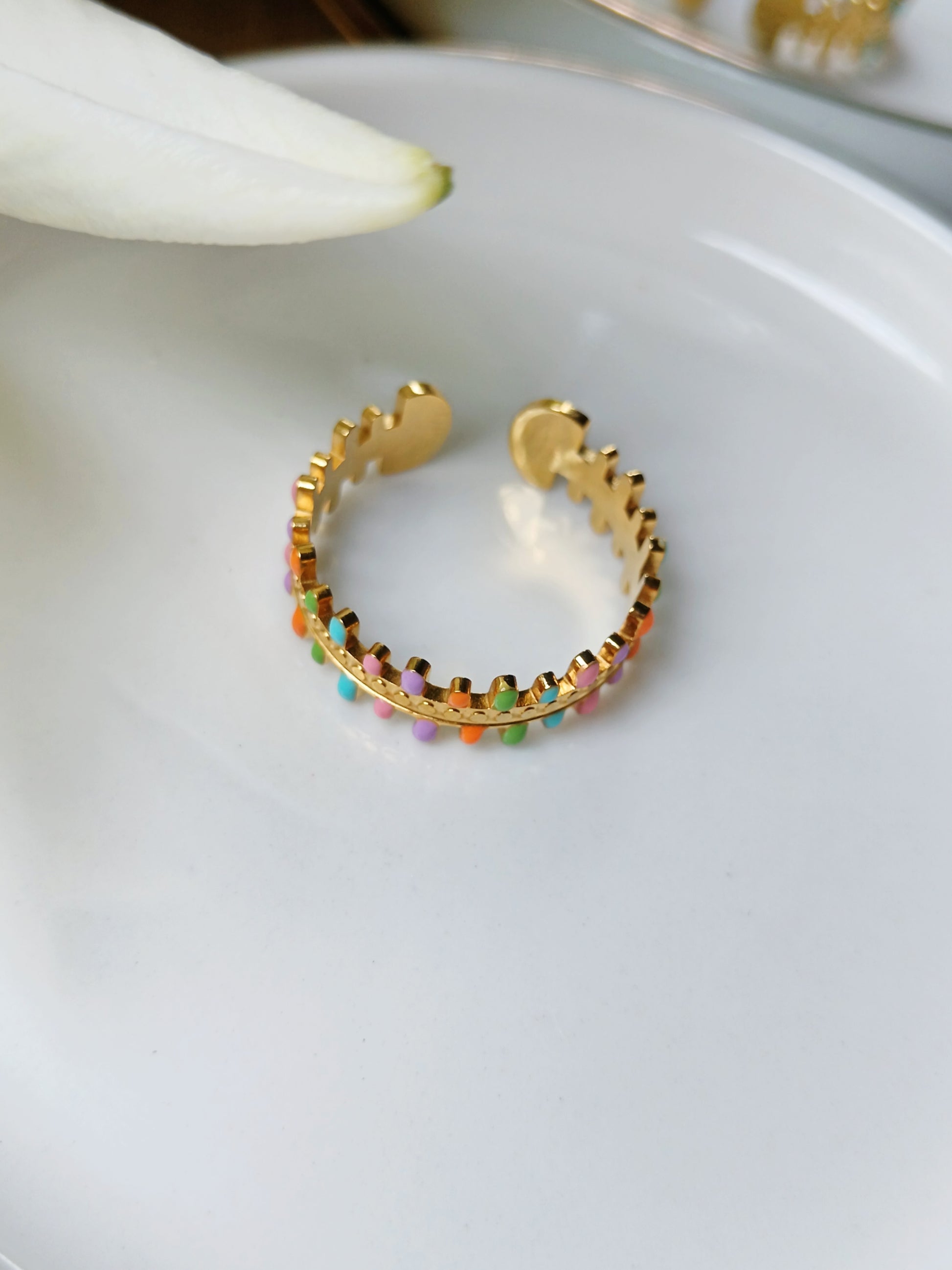 Bague acier inoxydable émaillée