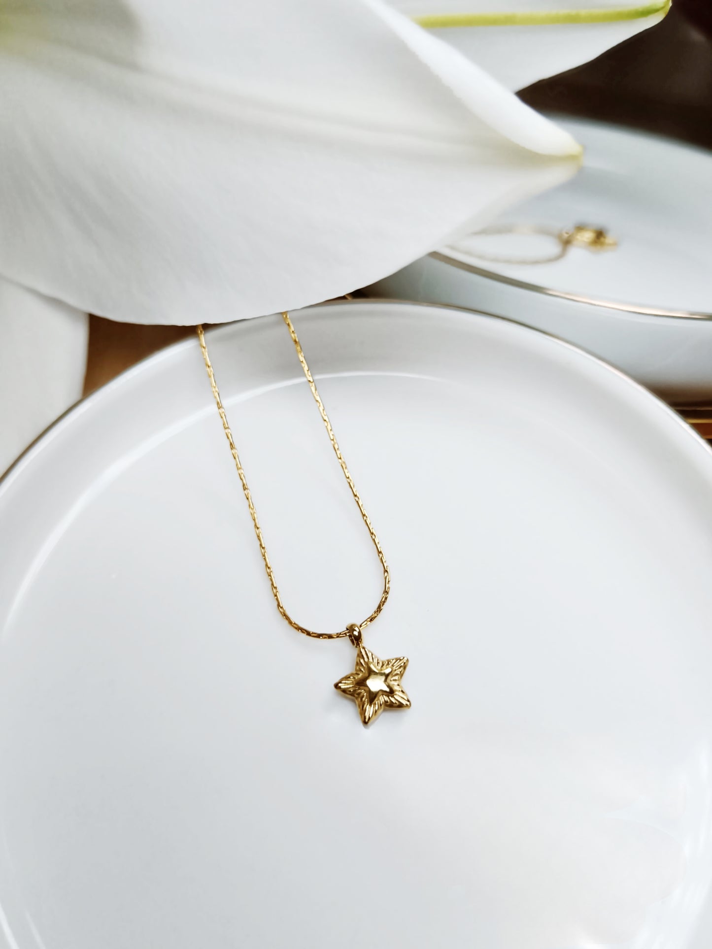 Collier chaîne fine Serpentine avec pendentif étoile  en acier inoxydable doré