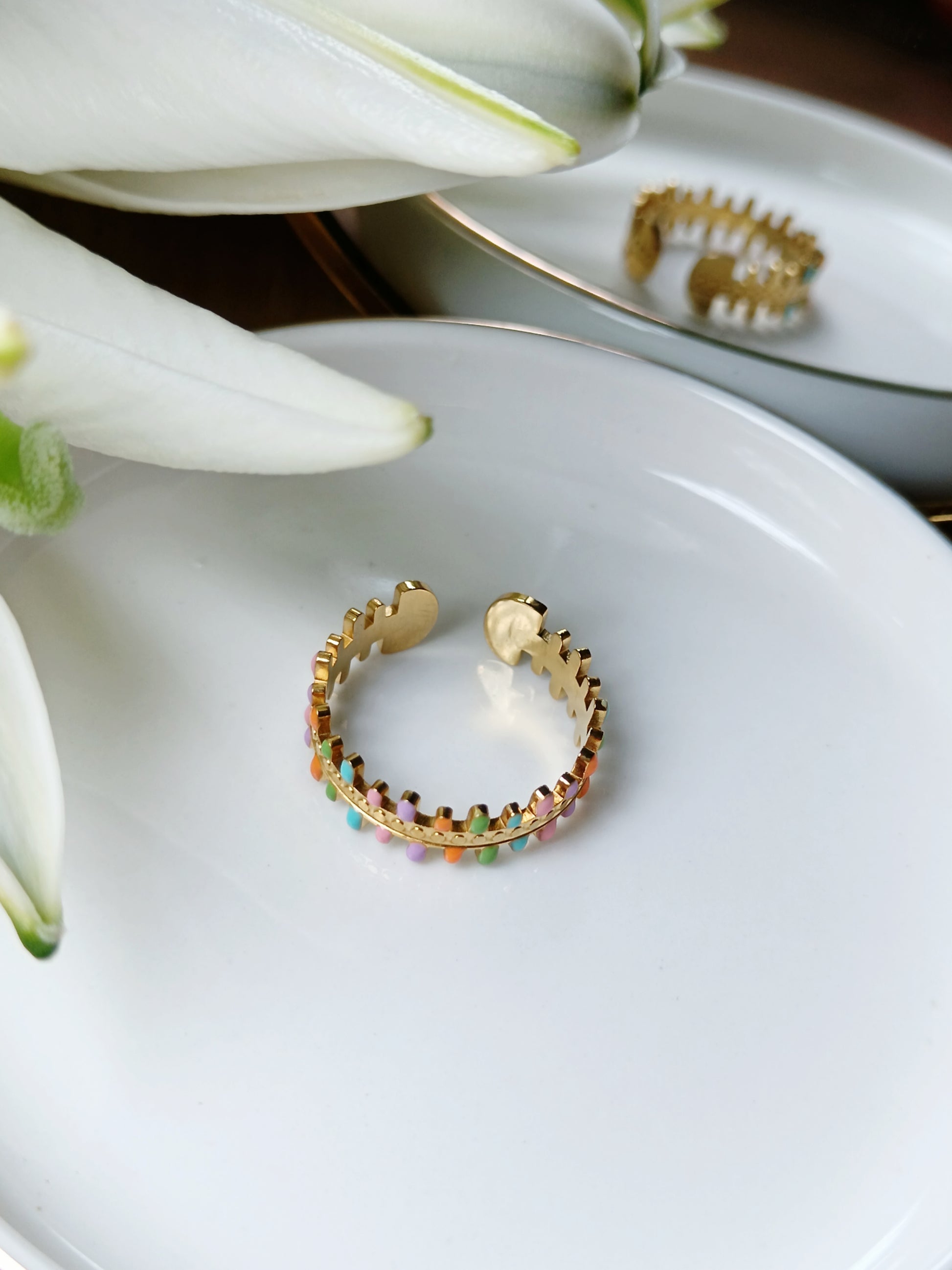 Bague acier inoxydable émaillée