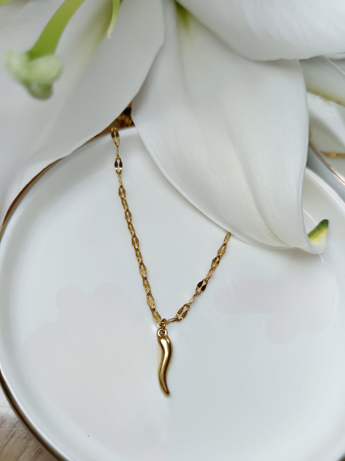 Collier cornicello piment porte bohneur en acier inoxydable doré 